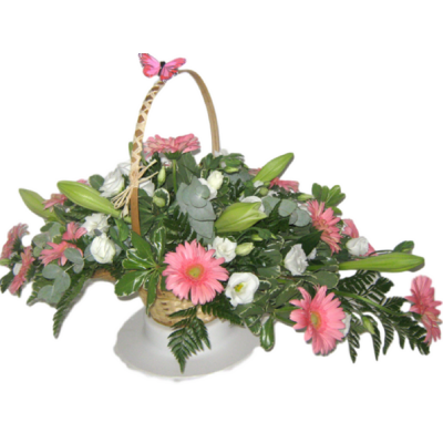 ספיר אביבית