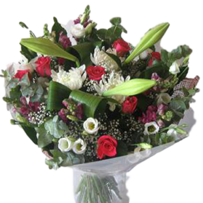 ספיר מגוונת