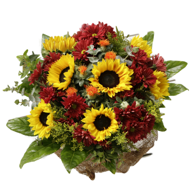 ספיר כפרית בורדו